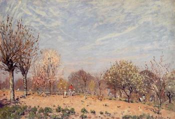 Alfred Sisley : Apple Trees in Flower, Spring Morning